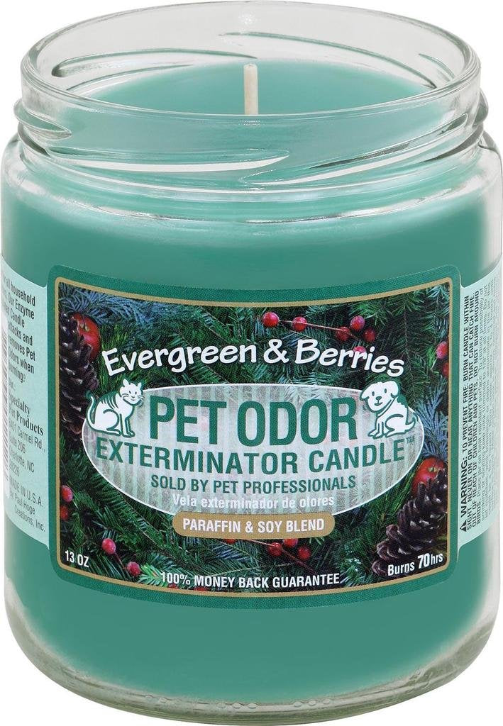 Pet Odor Exterminator Candle, Evergreen Berries,13 Oz
