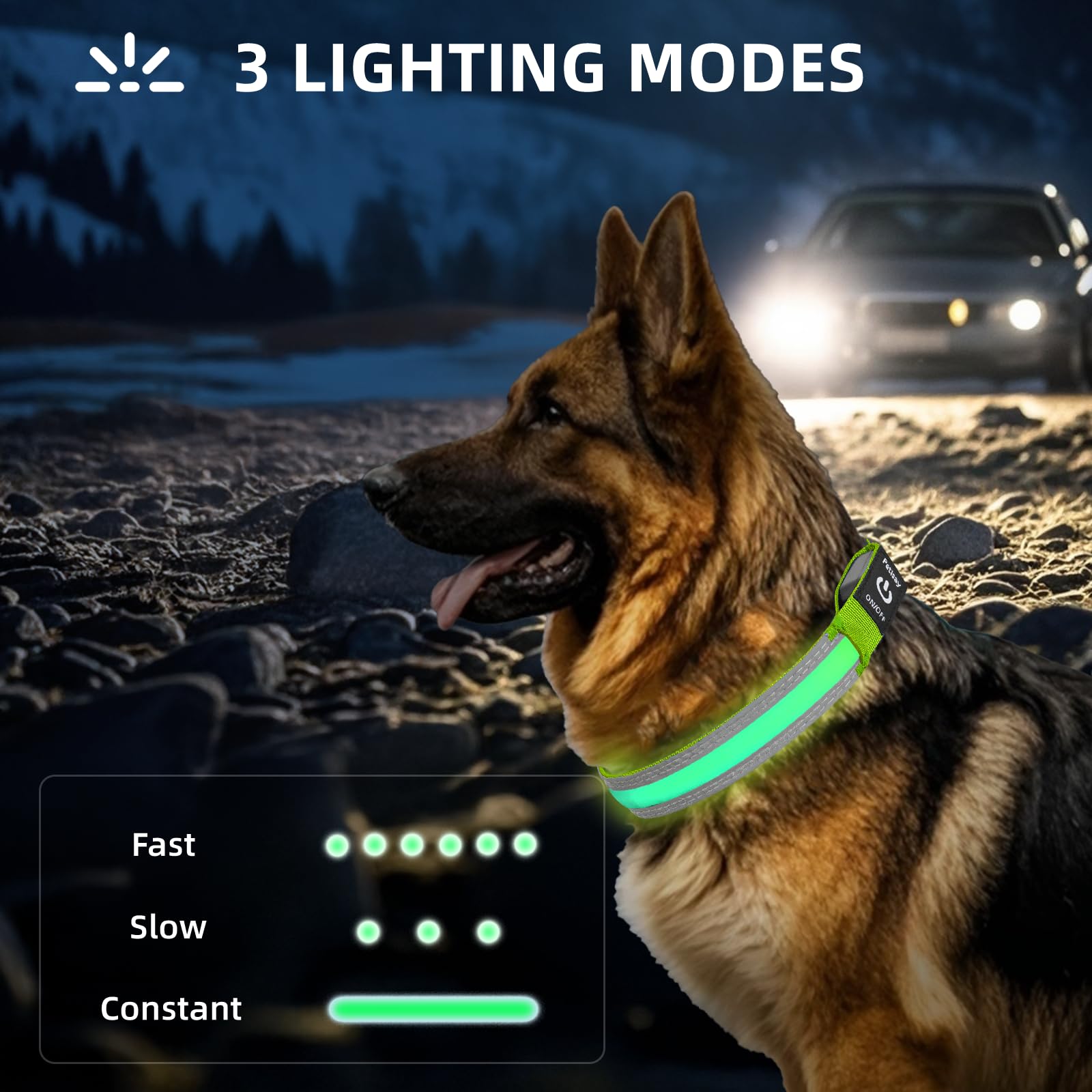 Petisay Led Dog Collar Metal Buckle - Heavy Duty Light Up Collars - Rechargeable Ip68 Waterproof - Lighted Dog Collar For Night