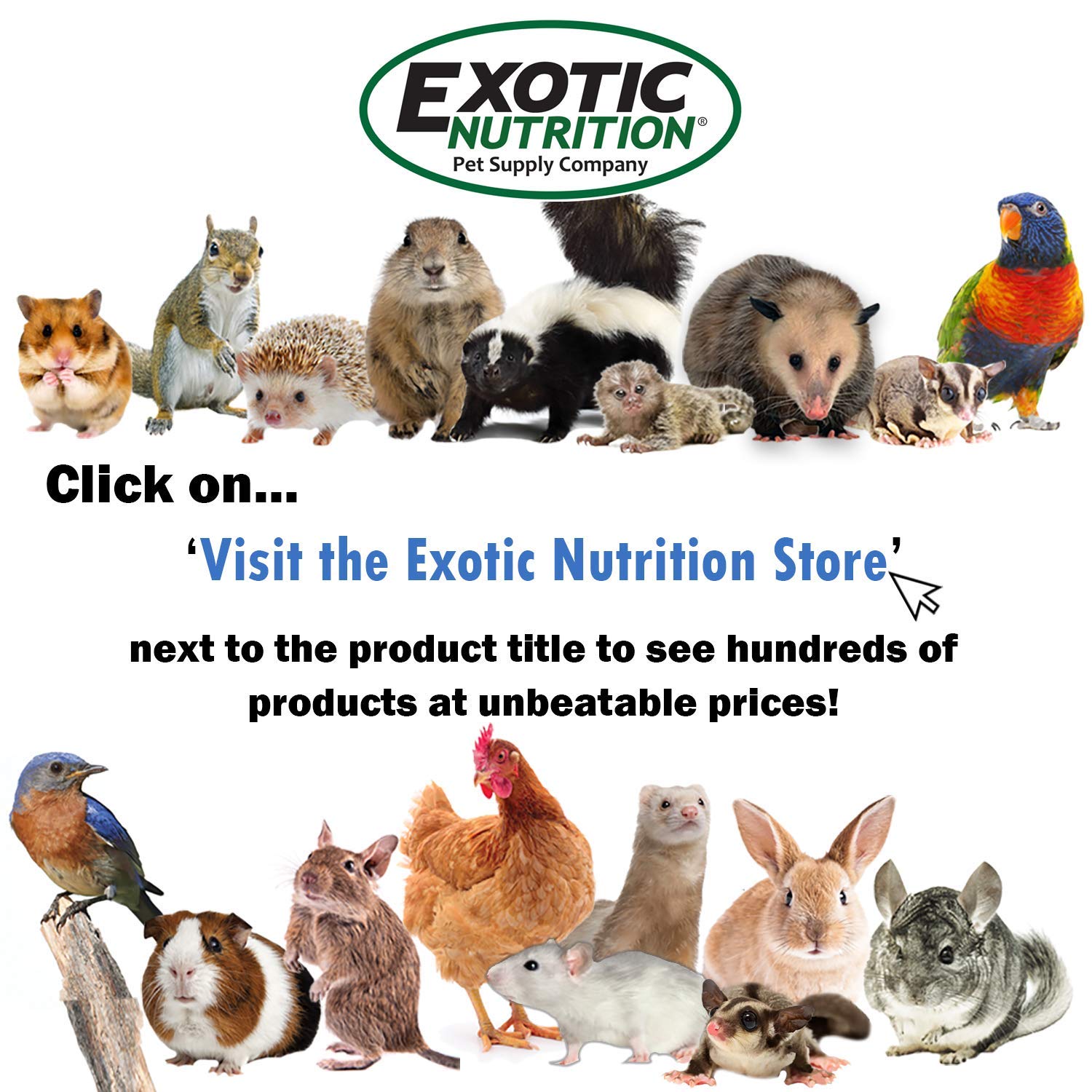 Exotic Nutrition Nectar Pods Variety 5 Pack - 40 Calcium-Fortified Jelly Fruit Pods for Small Pets
