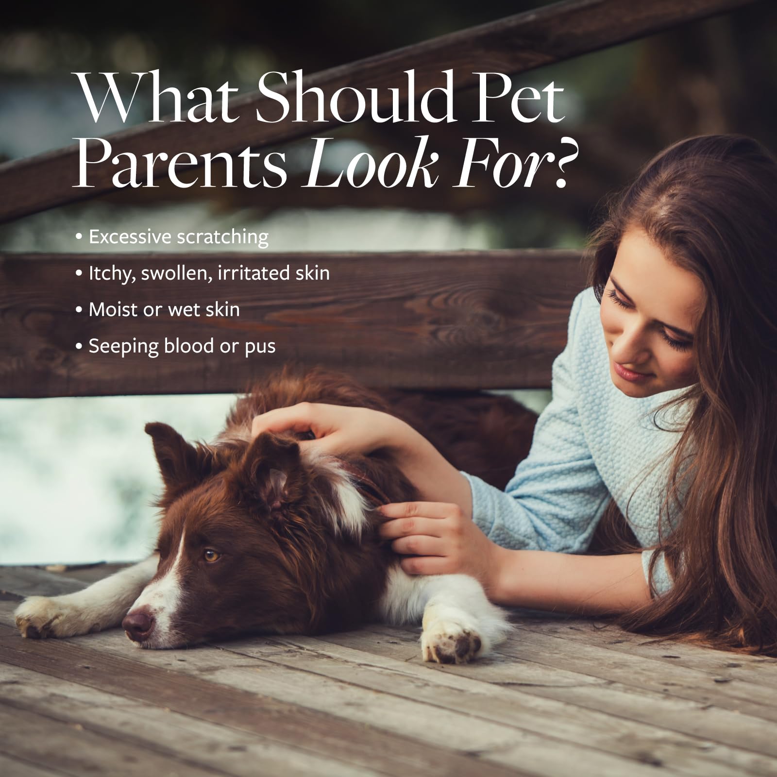 Veterinary Formula Clinical Care Hot Spot & Itch Relief Medicated Shampoo For Dogs And Cats 128Oz - Helps Alleviate Sensitive Sk