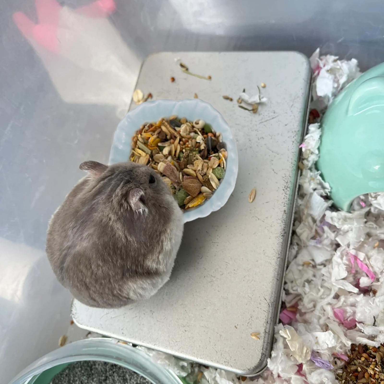 LuckyOpt Small Ceramic Pet Hamster Bowl, Easy to Clean Anti Flipping Hamsters Food and Water Bowl, Small Animal Bowls for Dwarf