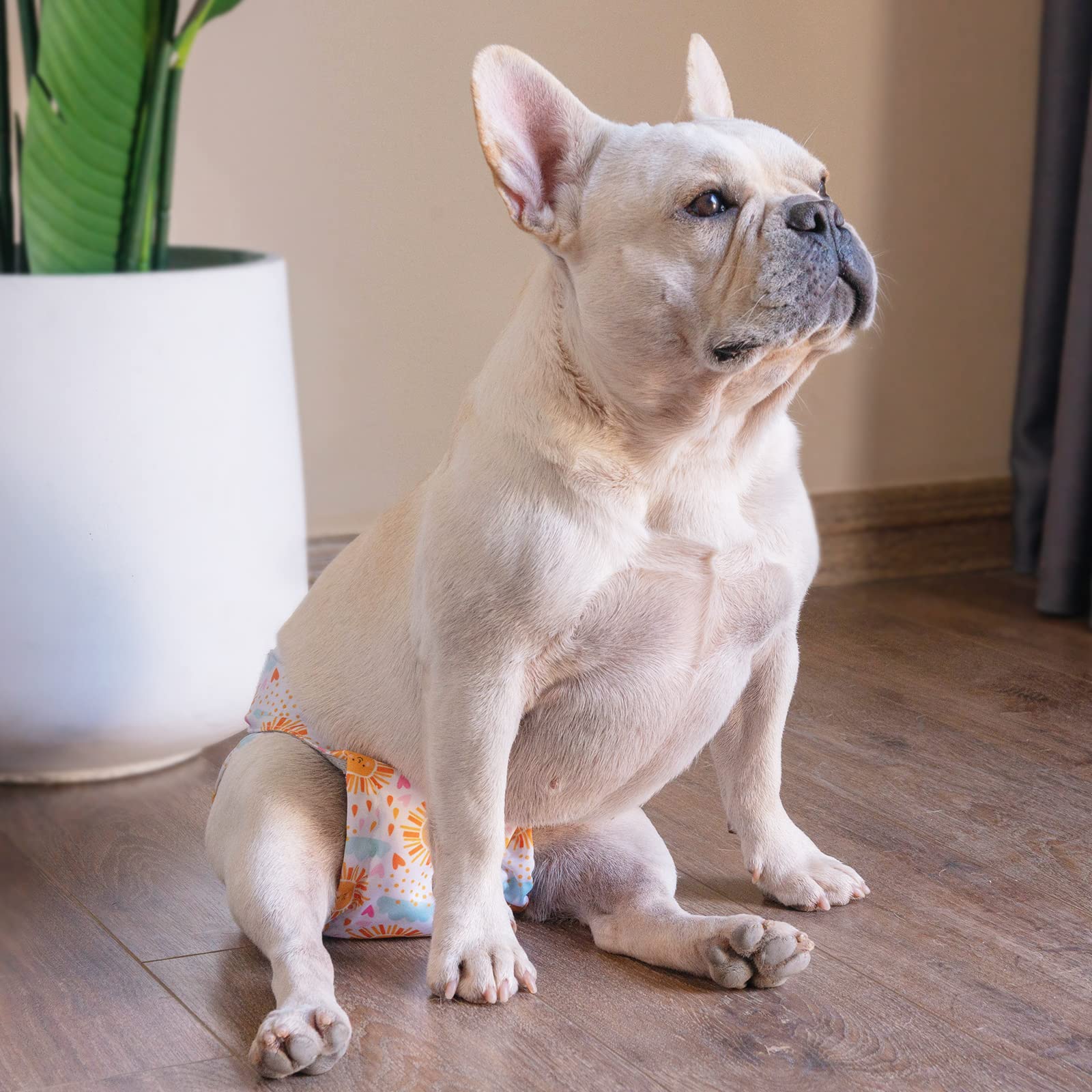 Cutebone Female Dog Diapers No Tail Hole 3 Pack Puppy Training Pants For Docked-Tail Dogs Wwd05S