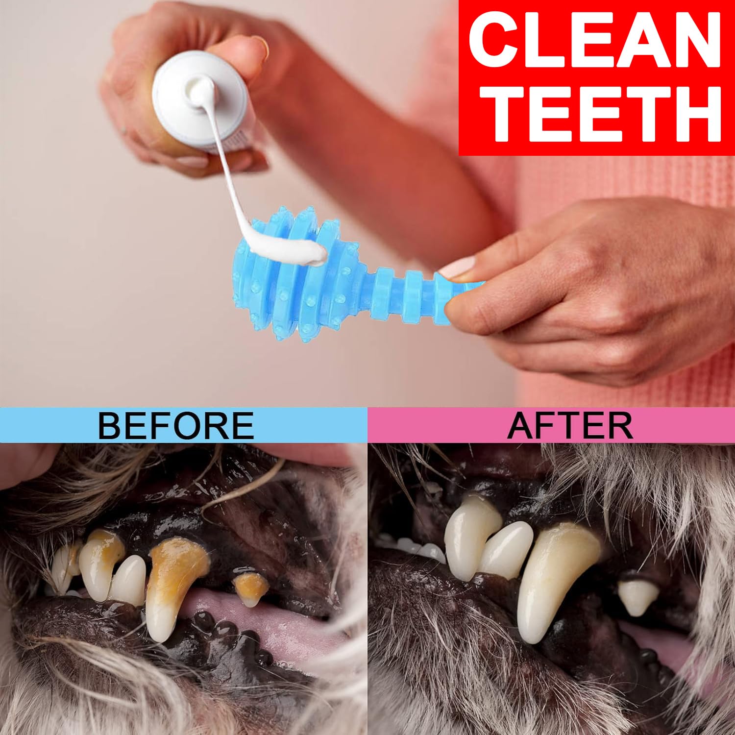 Cgbd Puppy Toys, 6 Pack Dog Chew Toys For Puppy, Cute Blue Small Dog Toys, Teething Toys For Puppies, Soft Durable Interactive Chew Toy For Small Dogs