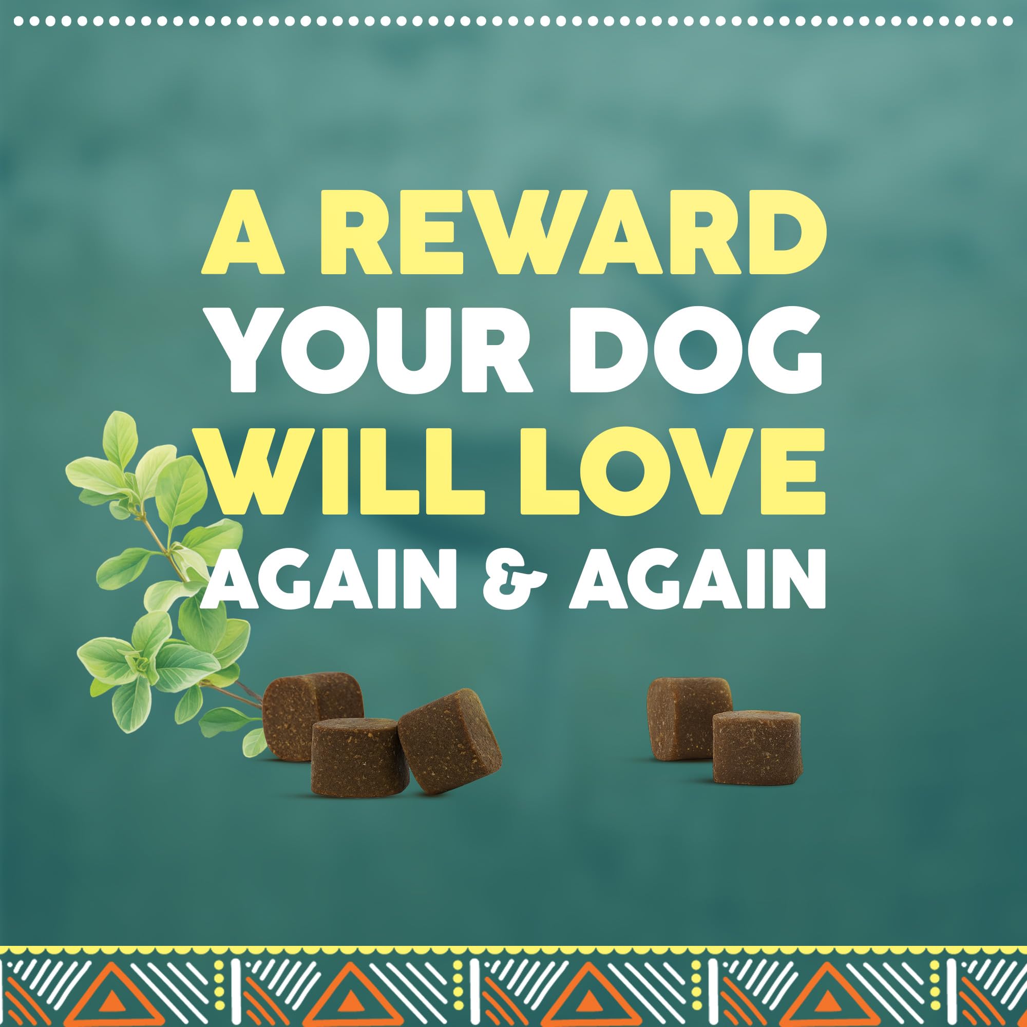 Karoo Wild Training Bits Oregano Seasoned Treats for Dogs - 4 oz - Soft & Chewy Protein Bits Made with African Antelope - Great