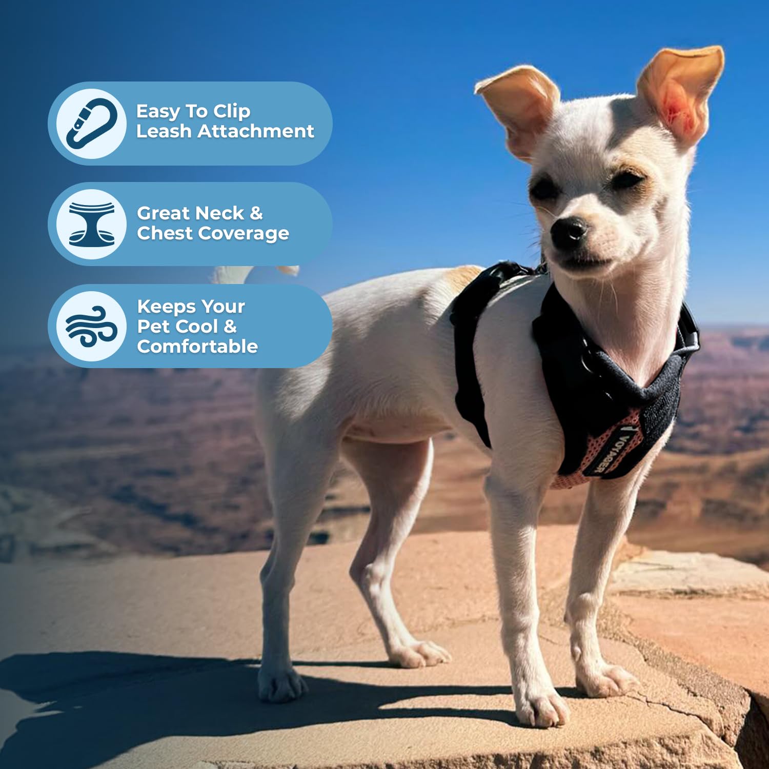 Voyager Step-in Pet Harness - All Weather Mesh, Adjustable Step in Harness for Cats and Dogs by Best Pet Supplies - Pink/Black T