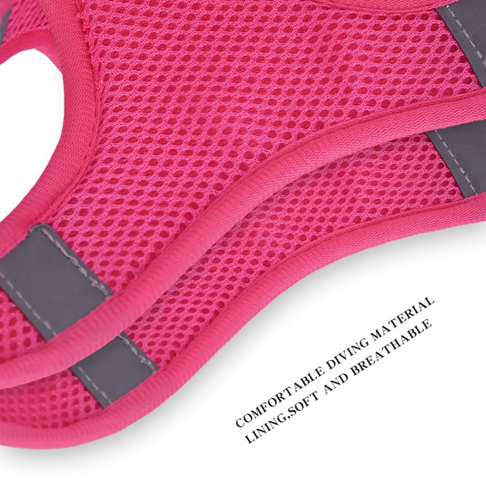 Step in Dog Harness and Leash Set, Flower Adjustable Easy Walk Puppy Harnesses, Soft Mesh Pet Vest Harness Small Size Dog Adjust