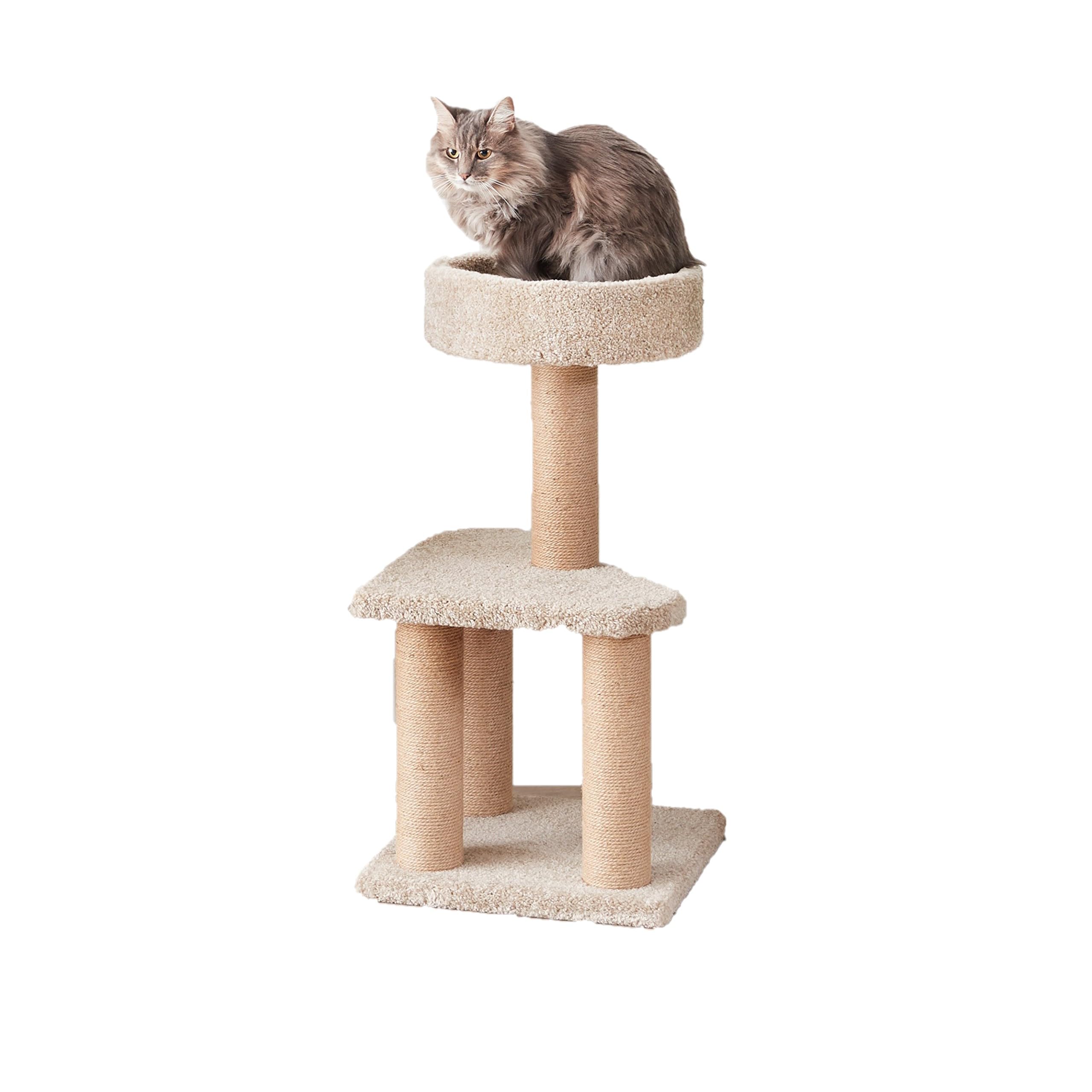 Amazon Basics Cat Tree - Indoor Cat & Kittens Multi-Level Climbing Activity Tower With Scratching Posts, Medium (31.5''H) - Beig