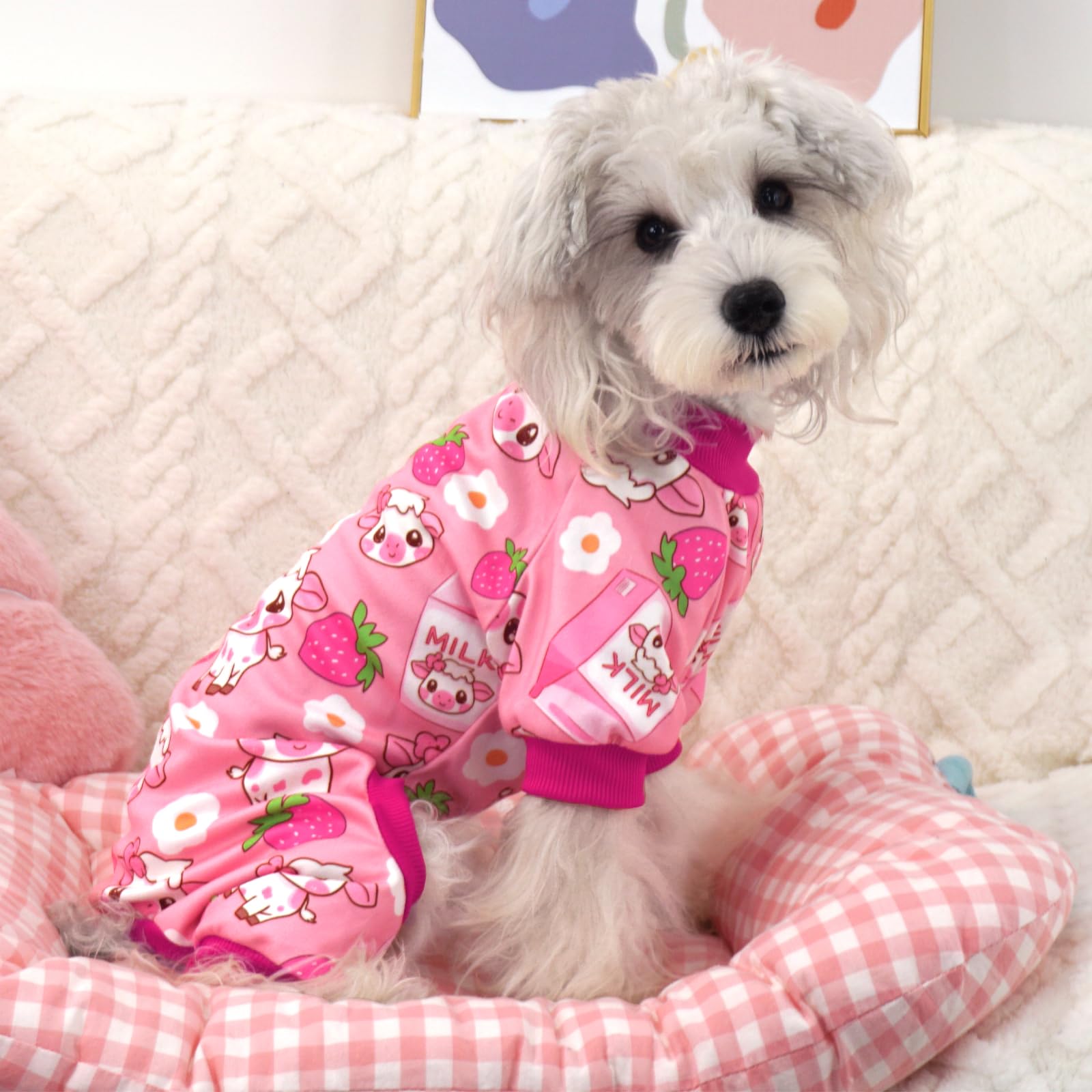 Xpudac 4 Pack Dog Pajamas For Small Medium Dogs, Strechy Soft Puppy Clothes For Doggie Girl Boy Pet Jumpsuit, Cat Onesie-Xl