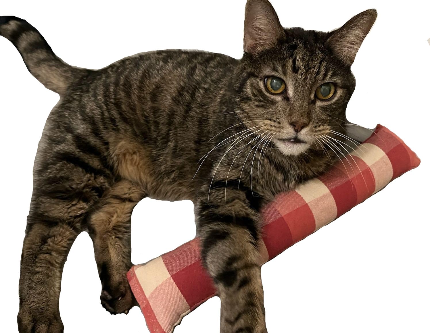 West Coast Pet Products 15'' Catnip Cat Kicker Toys/Kitty Kick Sticks/Cat-Nip Kick Sticks (Beige And Red Plaid) (Kickers Filled 
