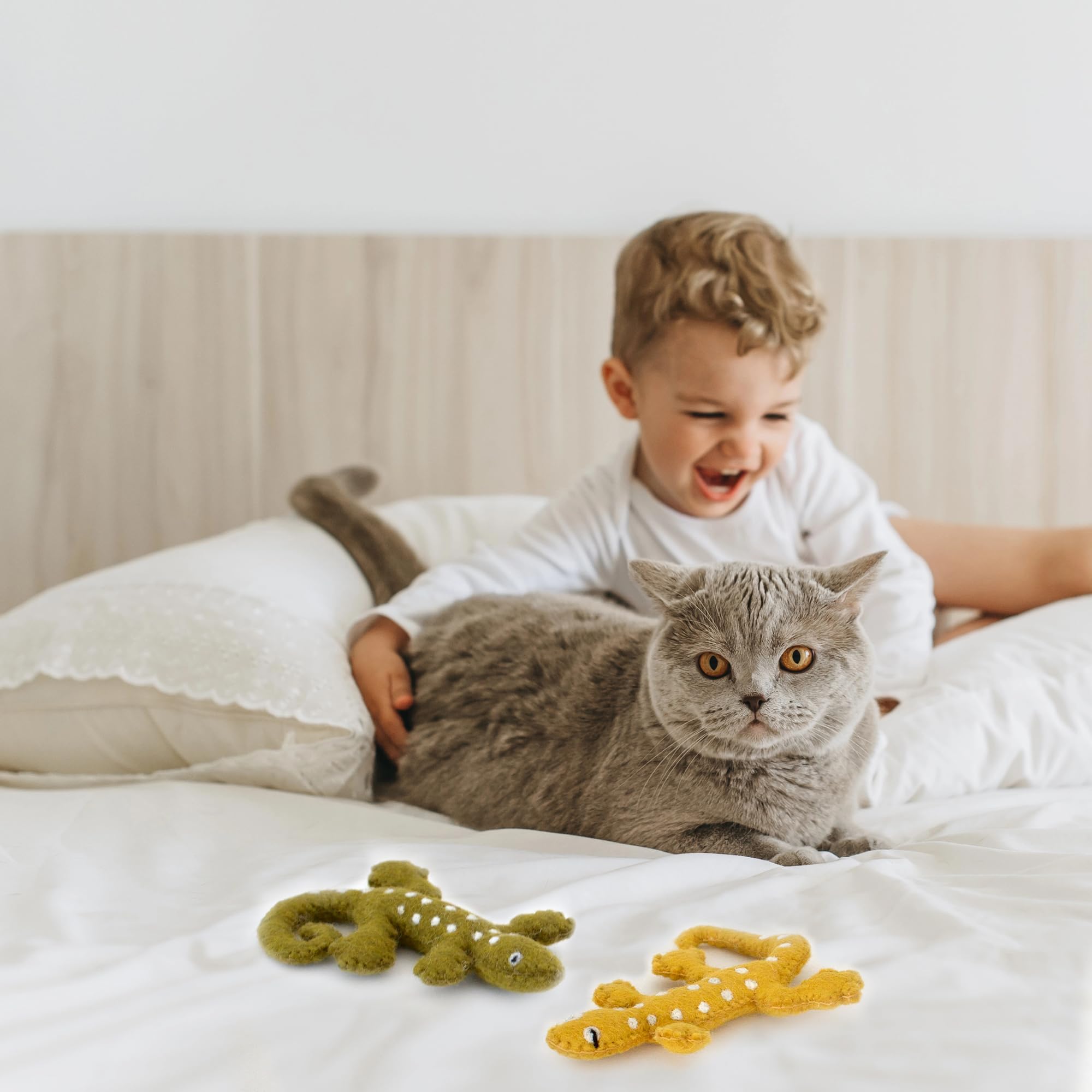 Glaciart One Felt Lizard Cat Toy - 2 Pcs | Soft Fuzzy Enrichment 100% Natural Wool - Interactive Catnip Play Cat Toy Set - Safe