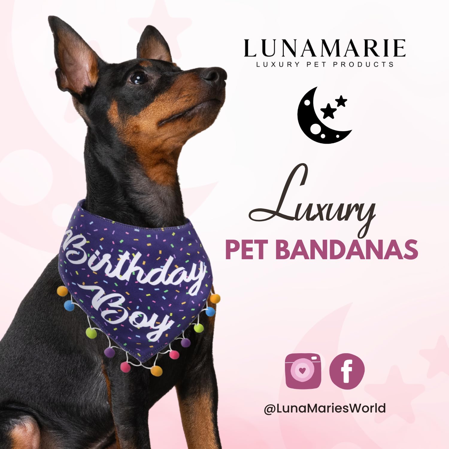 Lunamarie - Luxury Pet Birthday Bandanas -Premium & Silky Poly Fabric | 100% Handmade | Custom Shape Dual Layered (Birthday Boy,