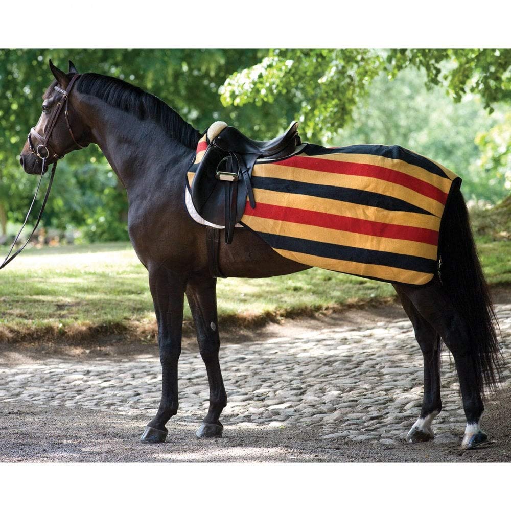 Horseware Rambo Competition Sheet (No Fill)