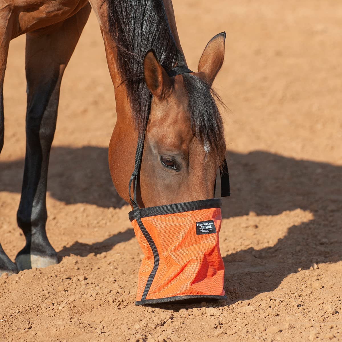 Cashel Company Feed Rite Bag Horse Orange, (Frb-Ora)