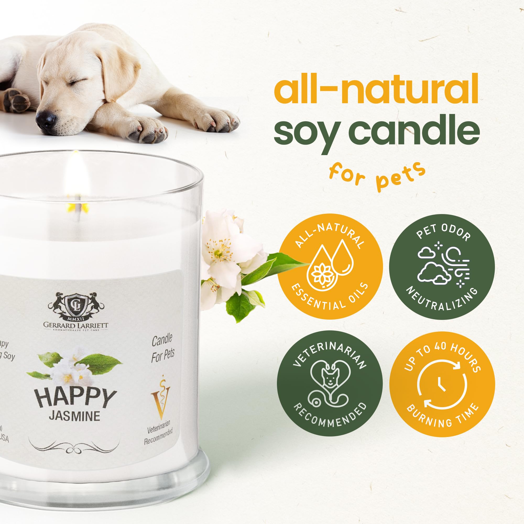 Gerrard Larriett - Deodorizing Soy Candles For Pets, Scented Candles For Removing Pet/Household Odors, Lasts Up To 40 Hours, White Candles For Home Scented With Happy Jasmine Fragrance, 10 Oz