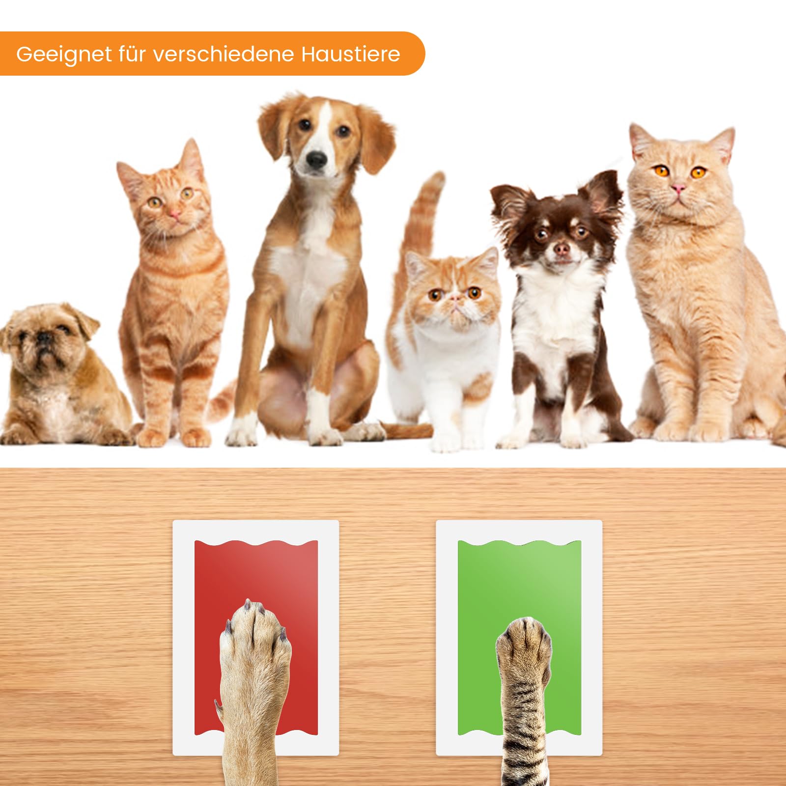 Nabance Baby Hand and Footprint Kit, Paw Print Kit, Dog Paw Nose Print Kit, 4 Colour Inkless Print Pads, 8 Imprint Cards, No Mes