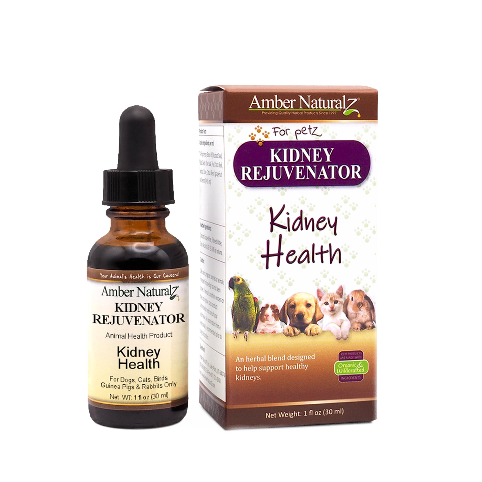 Amber NaturalZ Kidney Rejuvenator Herbal Supplement for Dogs, Cats, Birds, Guinea Pigs, and Rabbits | Pet Herbal Blend for Kidne
