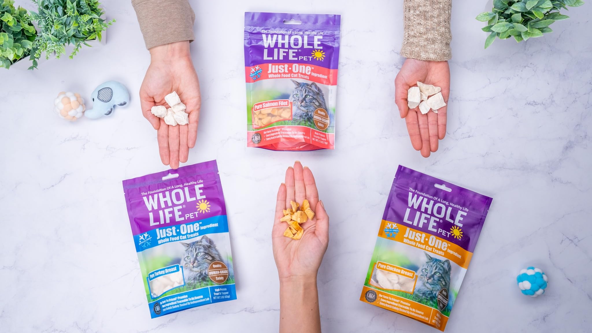 Whole Life Cat Just One Salmon Freeze Dried Cat Treats - Human Grade High Protein Food, Healthy Training Snacks, Freeze Dried Sa