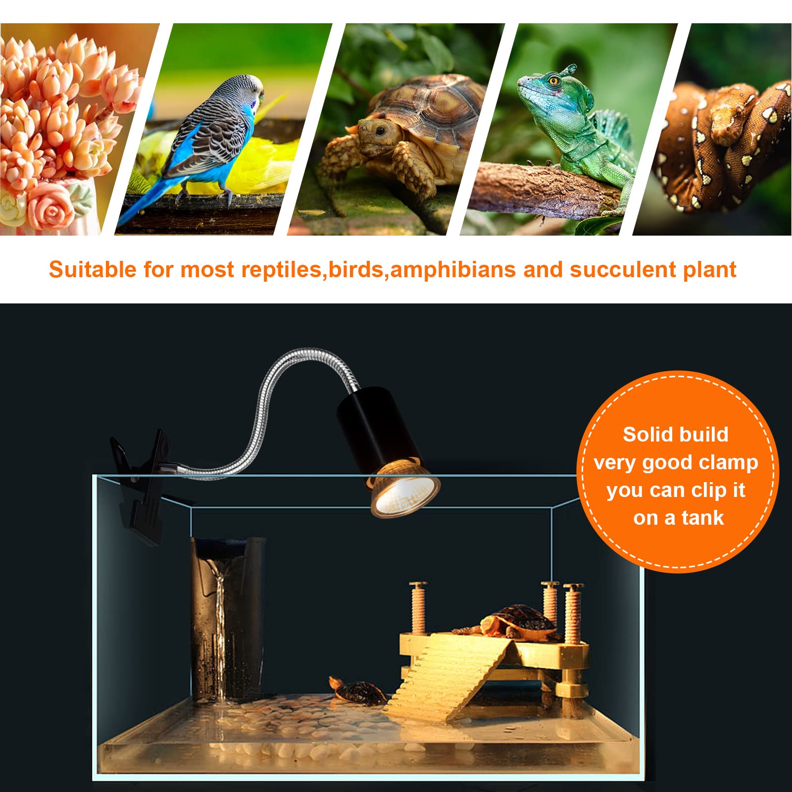 Buddypuppy Reptile Heat Lamp, UVA UVB Reptile Light with 360?Rotatable Hose and Timed, Heating Lamp with 2 Bulbs Suitable for Bearded Dragon Reptiles Turtle Lizard Snake (Heat Lamp 25w/50w Bulb)