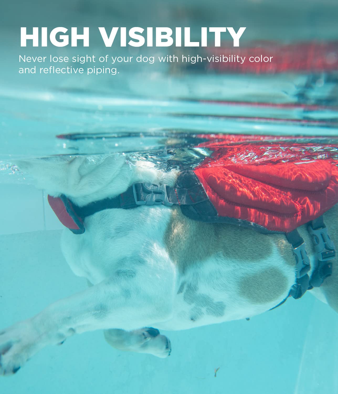 Outward Hound Dawson Swim Red Dog Life Jacket, Medium