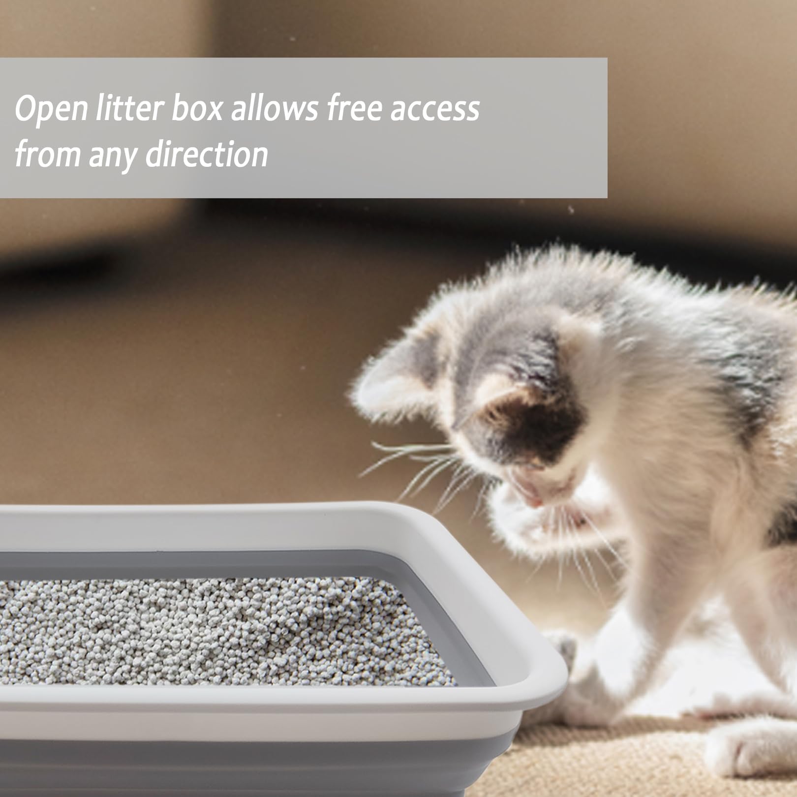 Chuyouan 2 Pack Collapsible Small Cat Litter Box, Open Kitten Litter Potty Pan Low Entry Pet Kitty Toilet Foldable Waterproof Tr