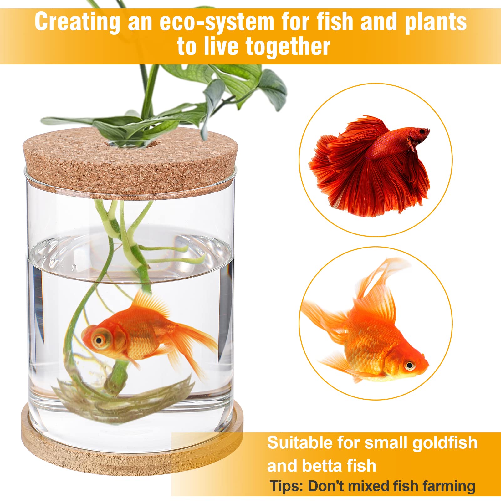 Desktop Fish Bowl Glass- Small Betta Fish Tank With Lid, Clear Hydroponic Plant Propagation Station For Home Office, Plant Lover