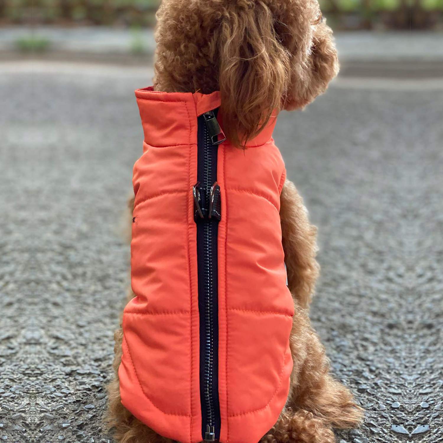 Dog Winter Vest With Cotton Lining, Waterproof Ultra Warm Dog Winter Coat Windproof Zippered Jacket Breathable Soft Dog Coat For Small Medium Large Dogs Orange S
