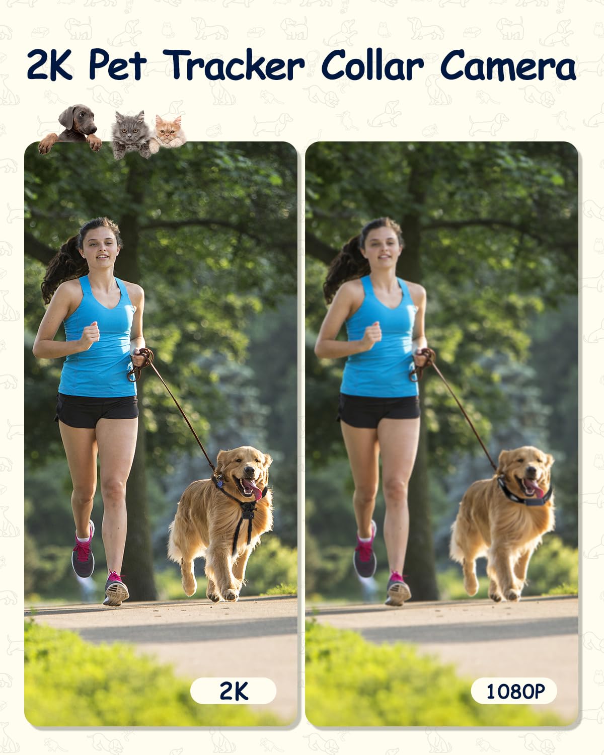 2K Pet Collar Camera With 32Gb Sd Card Dog Collar Camera, 20Mp Wifi Petcamera,Accessories Newly Upgraded With Remote