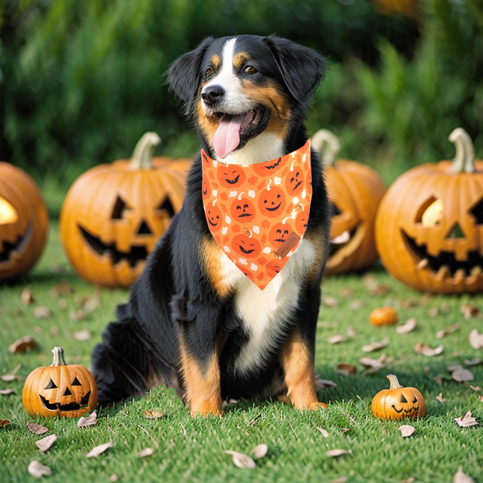 Ptdecor Halloween Dog Bandana, Reversible Holiday Pet Scarf, Multi Size, Triangle Puppy Halloween Bandanas For Extra Large Dogs