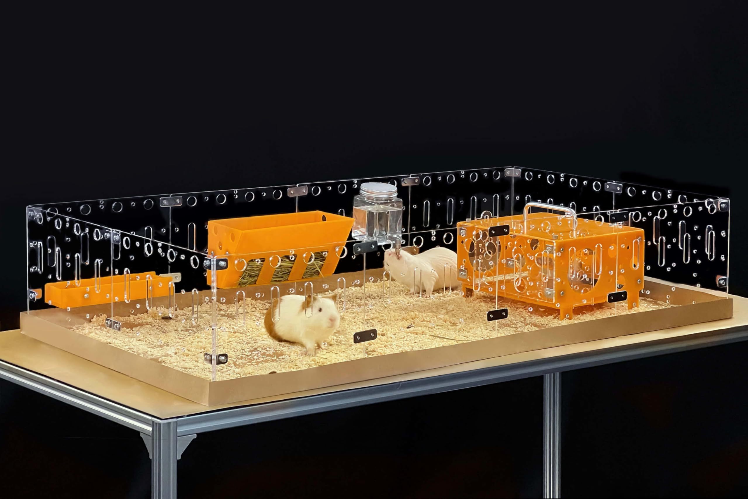 Guinealoft Acrylic Cage (Model-A) - Large 4X2Ft Open Cage For Guinea Pigs, Bunnies, Quails, Hedgehogs, Roaming Small Animals, Di