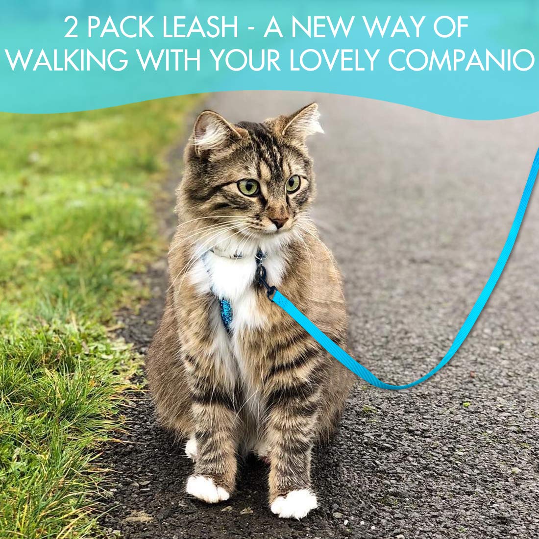 Doyoo 2 Pack Nylon Puppy Dog & Cat Leash, Strong & Durable With Easy To Use Collar Hook - Great For Small Dogs (Set 1-Black+Blue