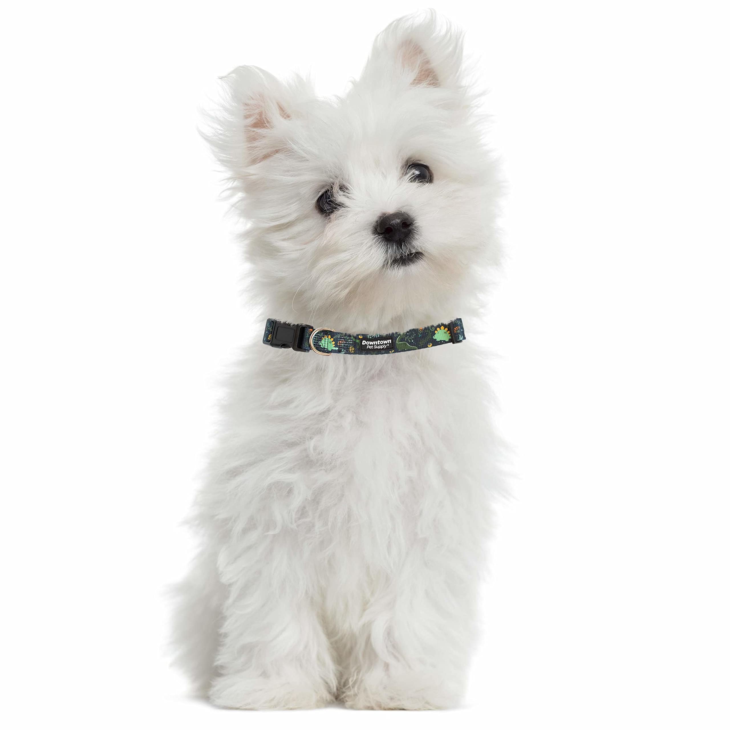 Downtown Pet Supply - Best & Fancy Adjustable Dog Collar With Quick Buckle & D-Ring - Hand Wash Safe - Dino - M - Medium