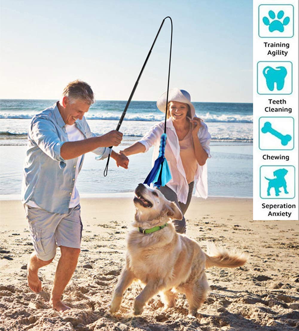 Amyese Flirt Pole For Dogs - Extendable Flirt Pole With 2Pcs Fleece Lure Tugs For Dog Outdoor Entertainment, Train And Exercise,