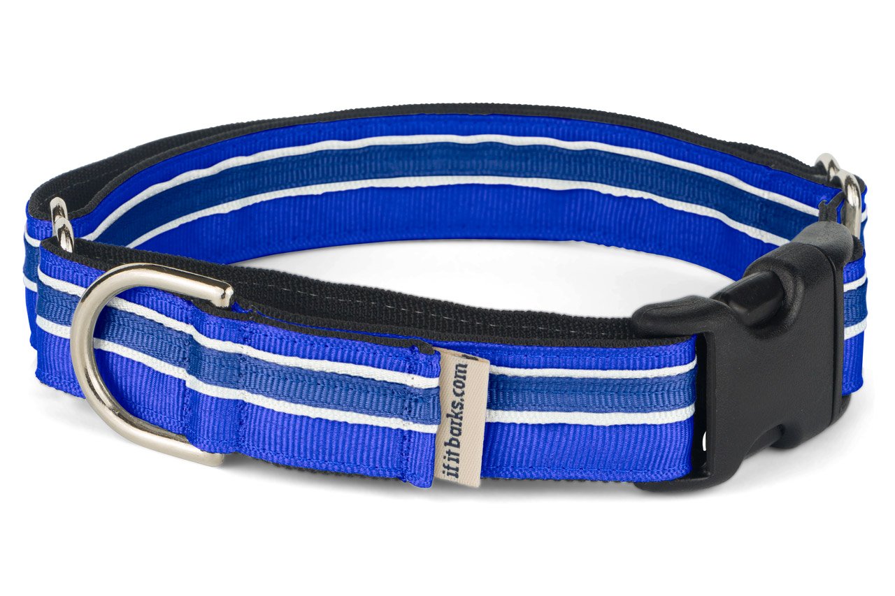 If It Barks 1'' Martingale Collar With Quick Snap Release Buckle, Adjustable, Usa Made, Medium, Blueberry
