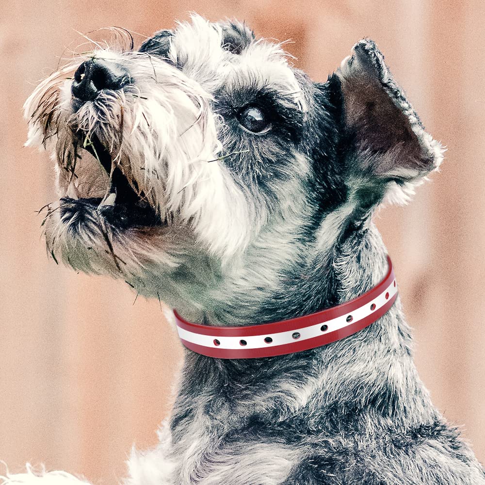 Petjoy Dog Collars Strap, Replacement Collar For Shock Reflective Collar, Adjustable Classic Dog Collar Strap For All Varieties