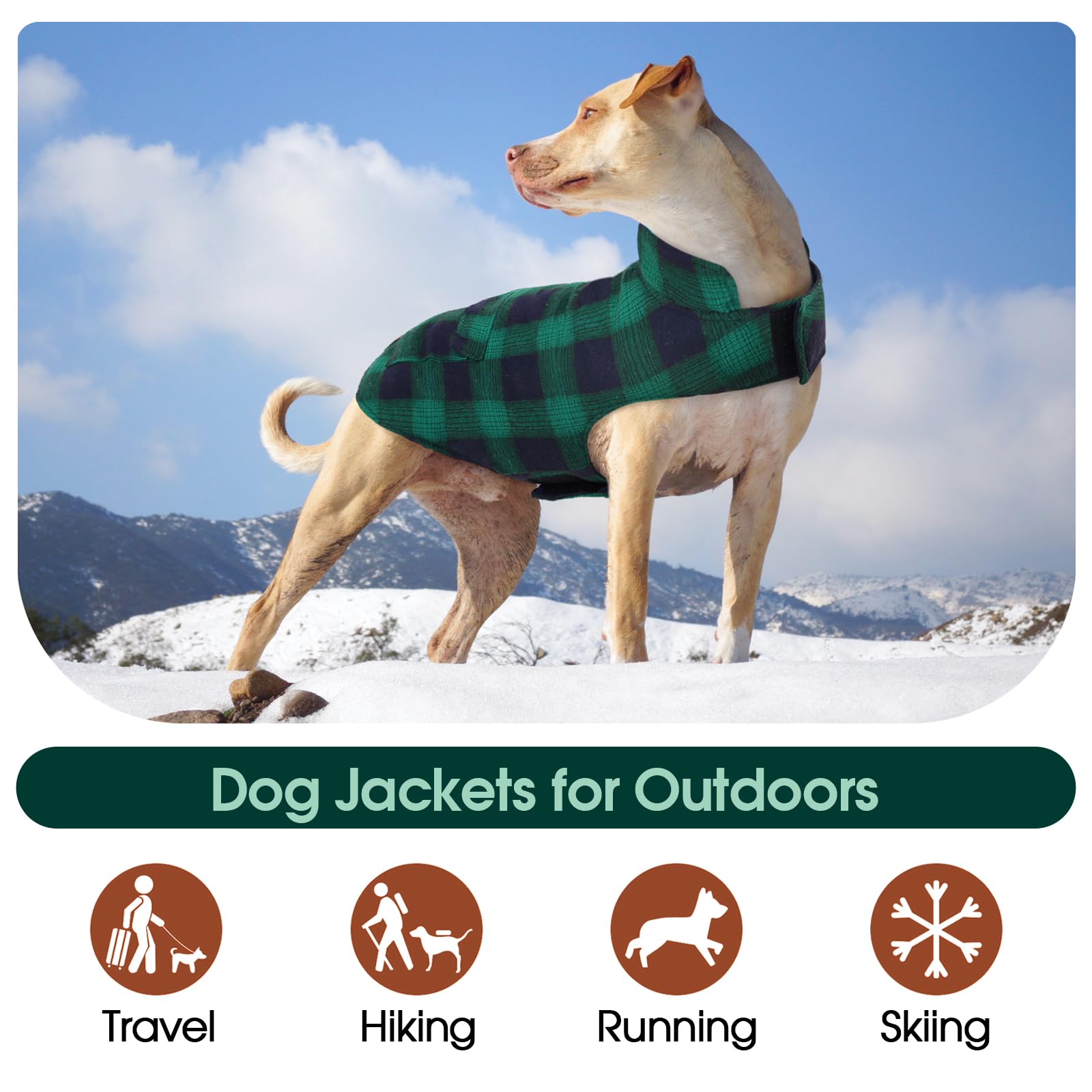 Kuoser Reversible Dog Jacket, Warm Winter Coat For Small Medium & Large Dogs - British Style, Windproof, Green, Xl