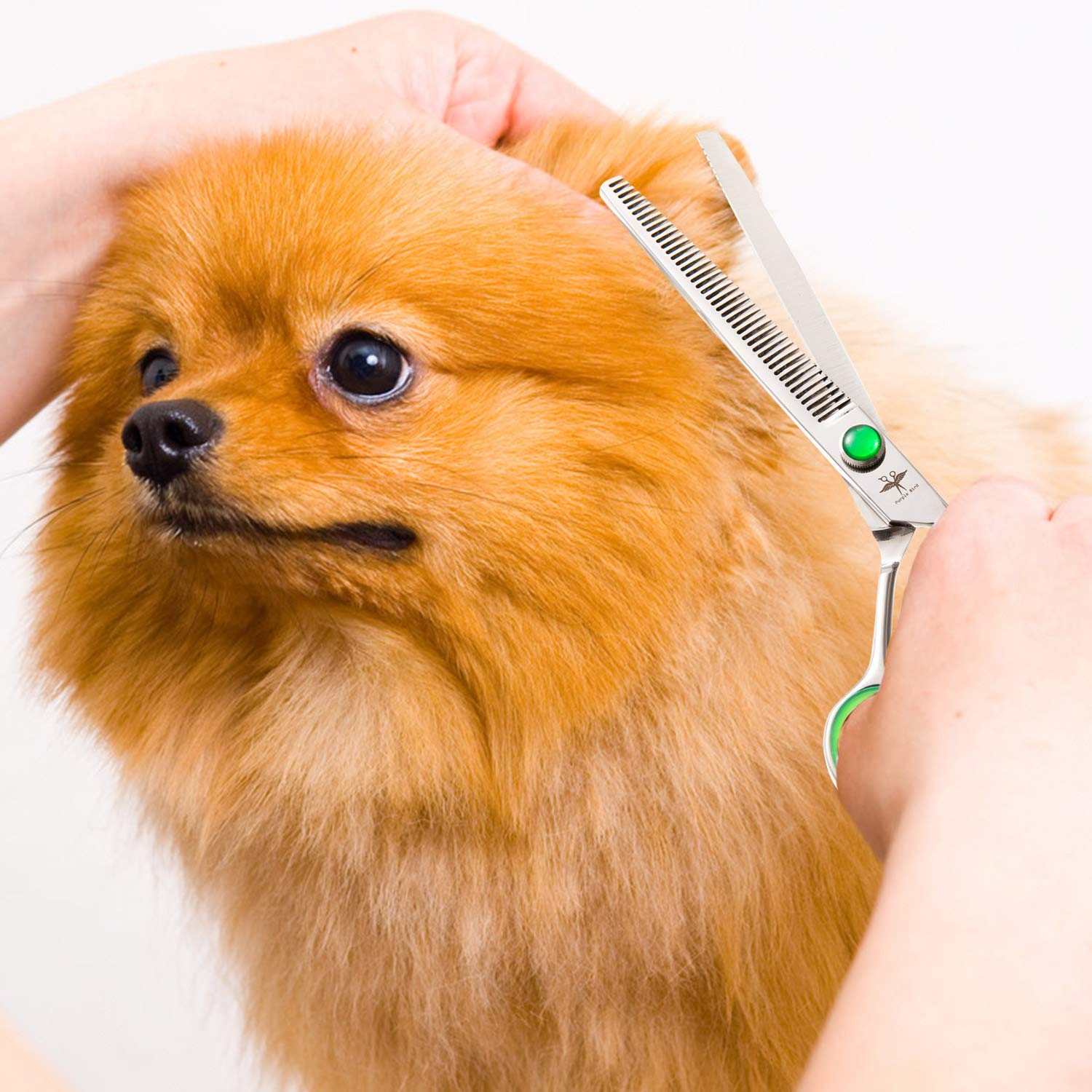 Purplebird 7 Inch Straight, Downward Curved Dog Grooming Scissors Set Professional Pet Cutting, Thinning Texturizing Shears Safety Blunt Tip Trimming Shearing Dog Cat Japanese Stainless Steel Silver