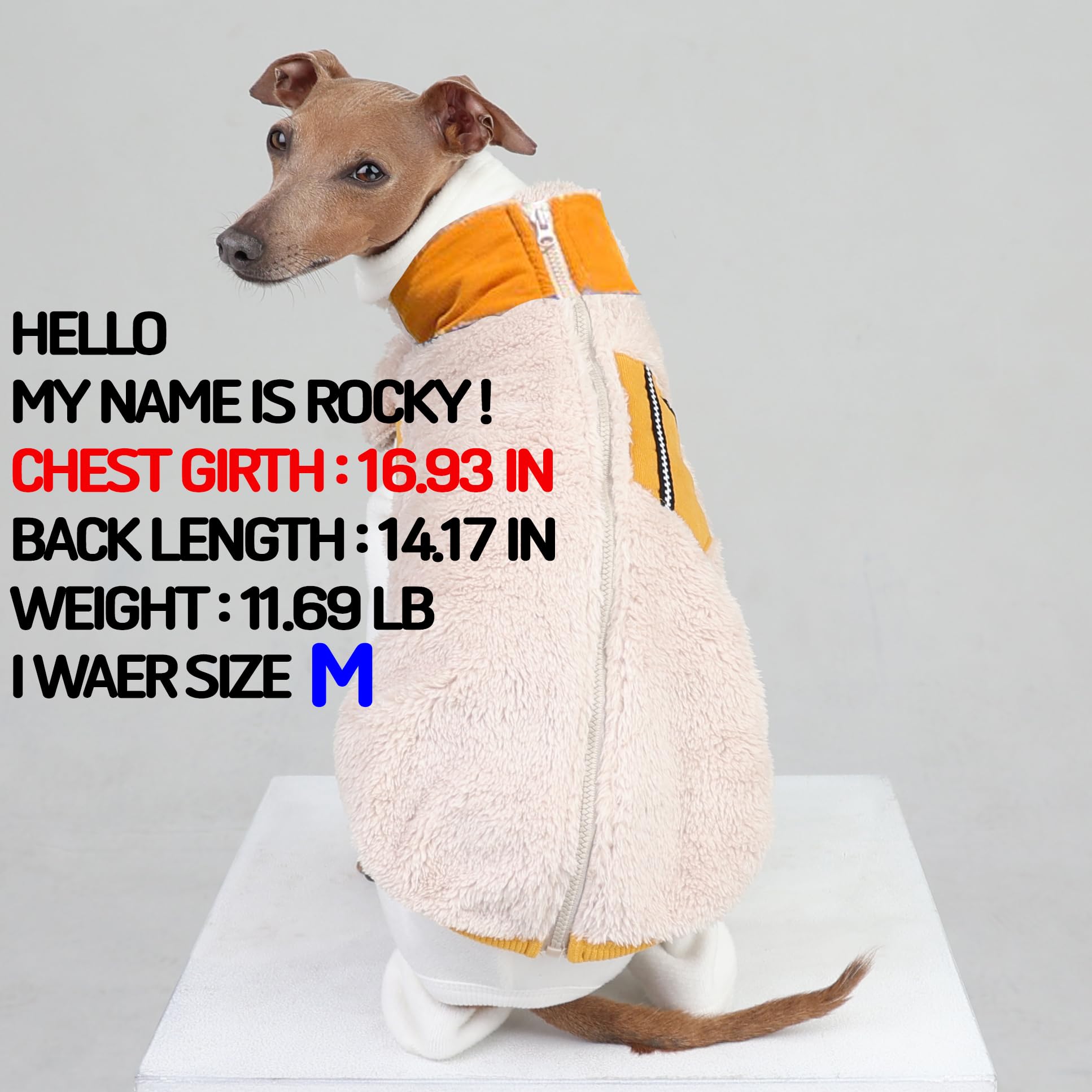 D Doggy Star Italian Greyhound Warm Fleece Zip-Up Sweater Jacket Outfit Clothes Whippet For Dog Coat (M,Zipup Mustard)