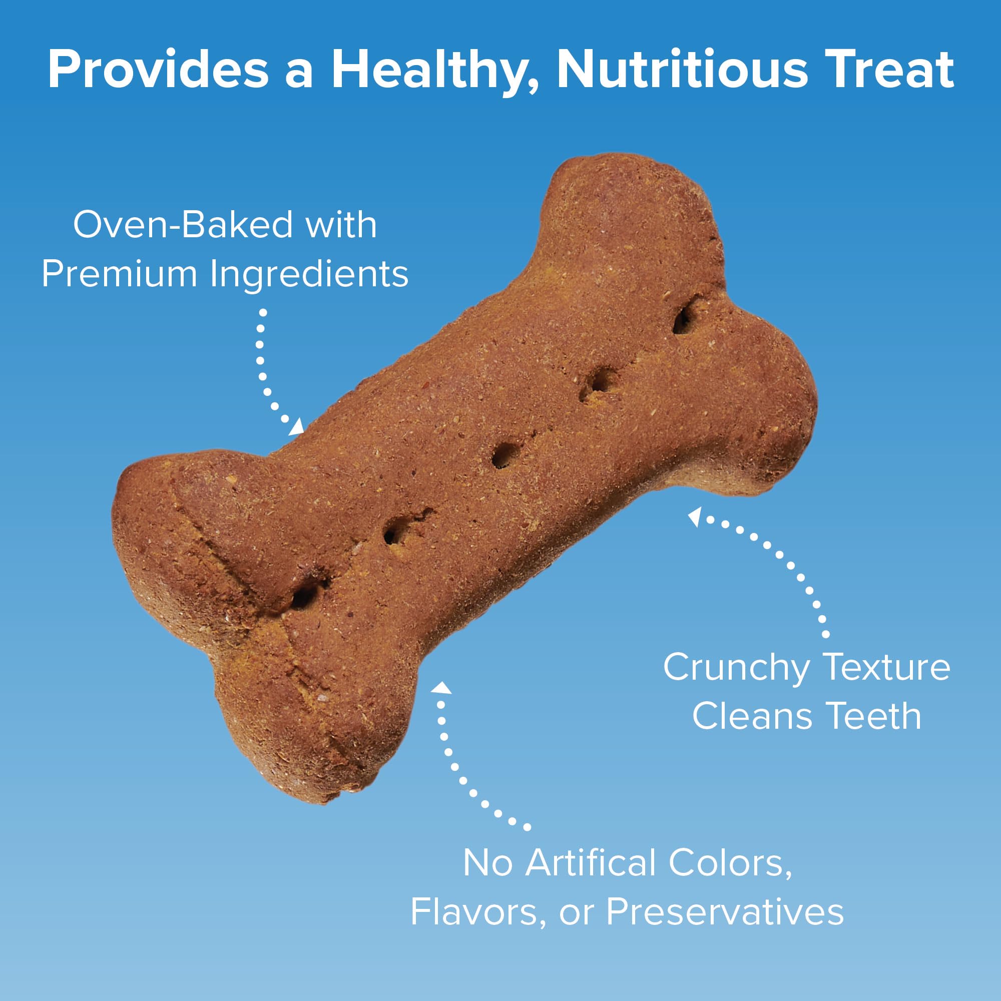 Blue Seal Kent Entrust Crunchers - Large Dog Treats, Original Recipe - Crunchy Oven Baked Biscuits with Premium Ingredients, Hea