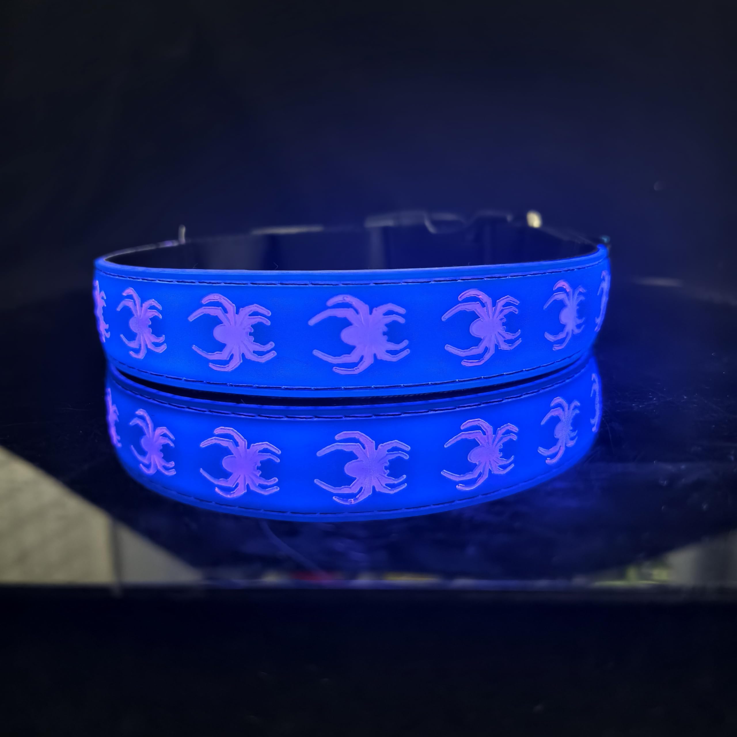 Dogled Usb-C Led Light Up Dog Collar, 3D Design Comfortable And Soft Material,Multicolored Lighting,Night Dog Collar (Sp-Blue, M