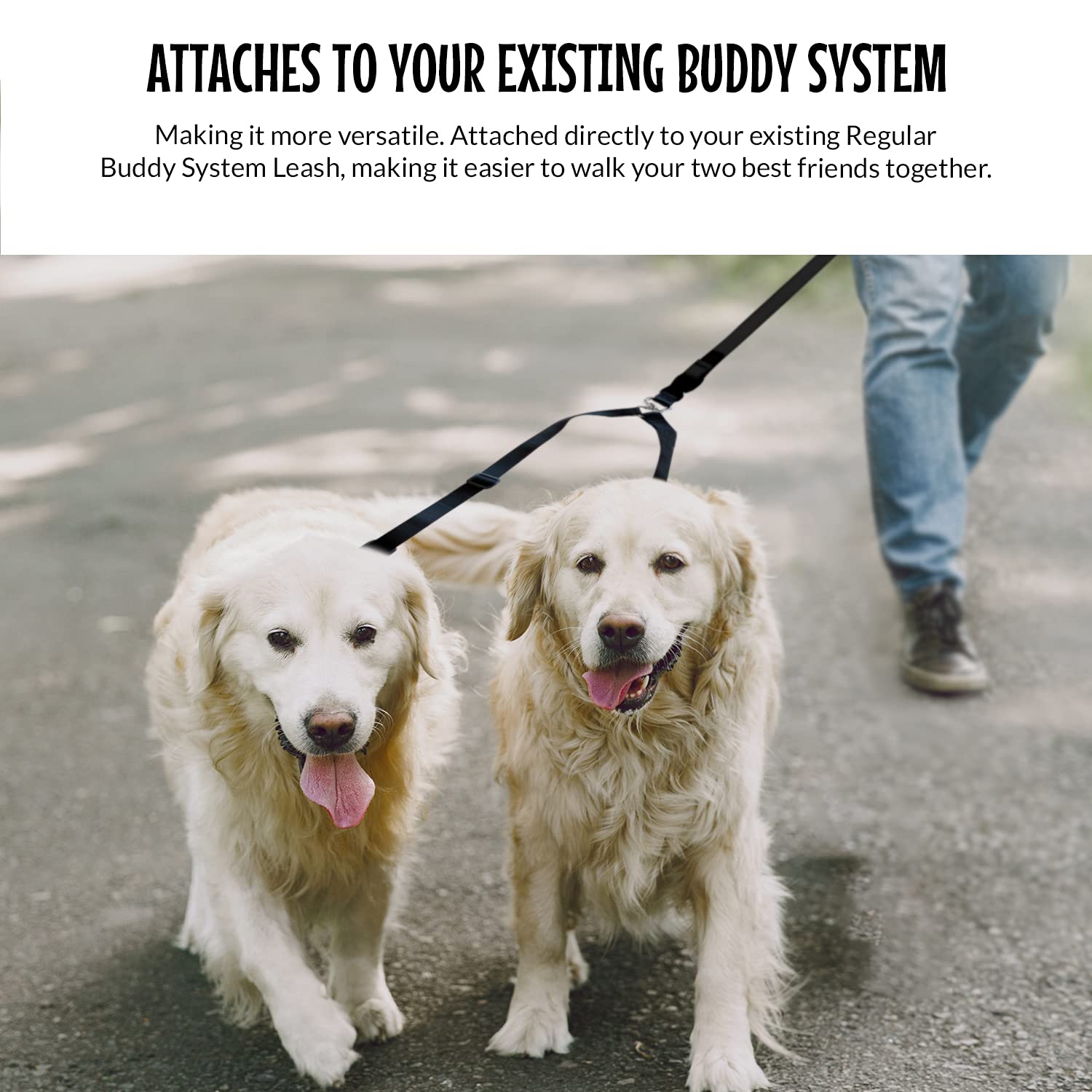 The Buddy System Accessories For Our Dog Leashes Made In Usa (Double Buddy, Regular Dog Black)