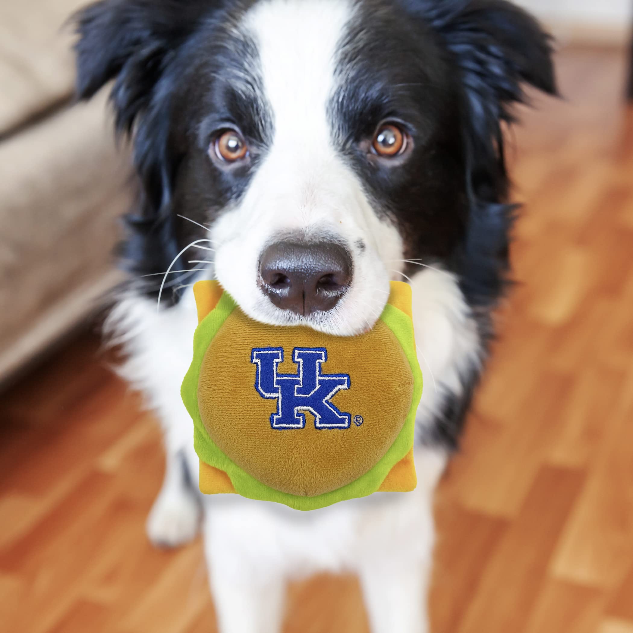 Pets First Ncaa Kentucky Wildcats Cheeseburger Plush Dog & Cat Squeak Toy- Cutest Stadium Hamburger Snack Plush Toy For Dogs & C