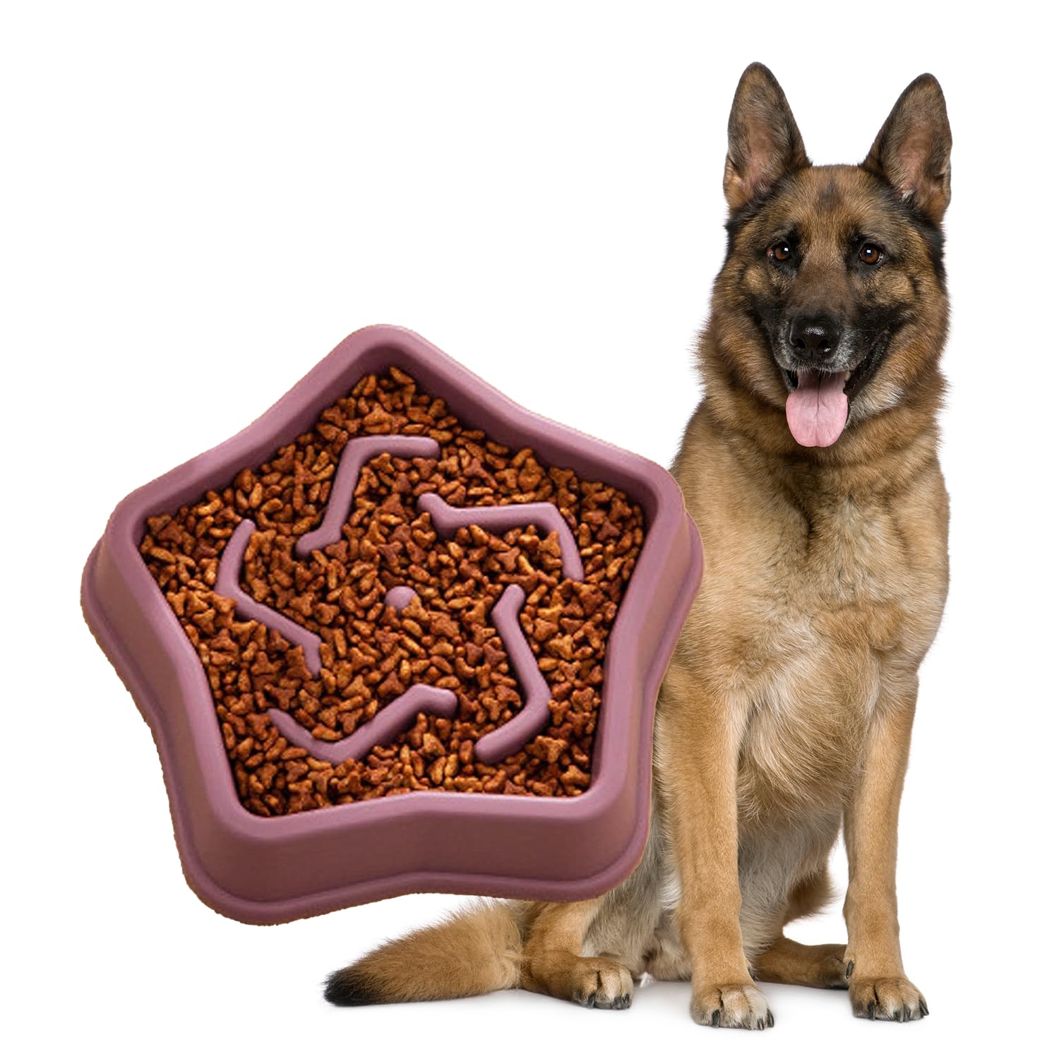 Petbabas Durable Slow Feeder Bowl For Dogs| AntiChoke NonSlip Pet Feeding Base And Easy To Clean| Dish Promotes Healthy Eating