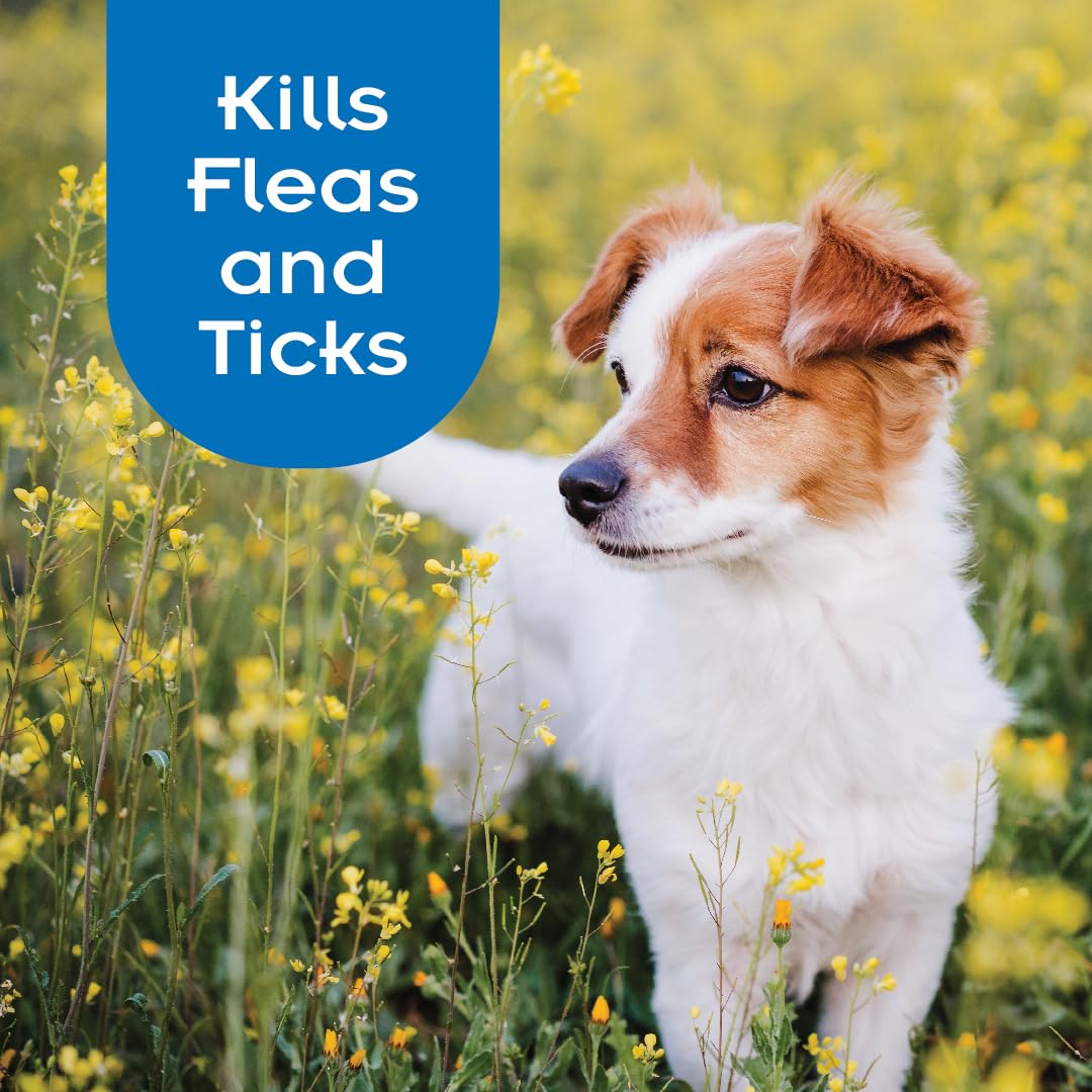 Sentry Pro Flea And Tick Shampoo For Dogs, Rid Your Dog Of Fleas, Ticks And Other Pests, Sunwashed Linen, 18 Oz