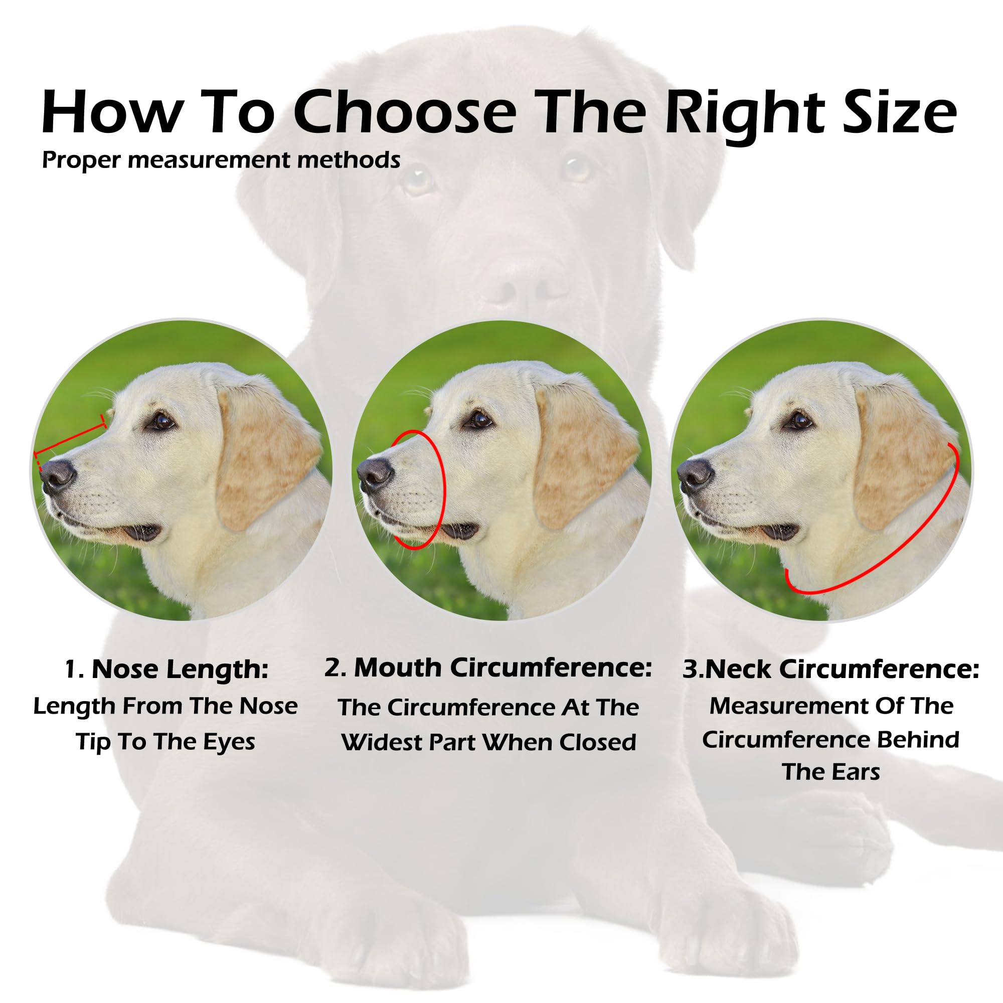 Oopsdoggy Labrador Dog Muzzle For Large Dogs - Leather Breathable Secure Basket Muzzle For Large Breeds Retriever Prevents Bitin