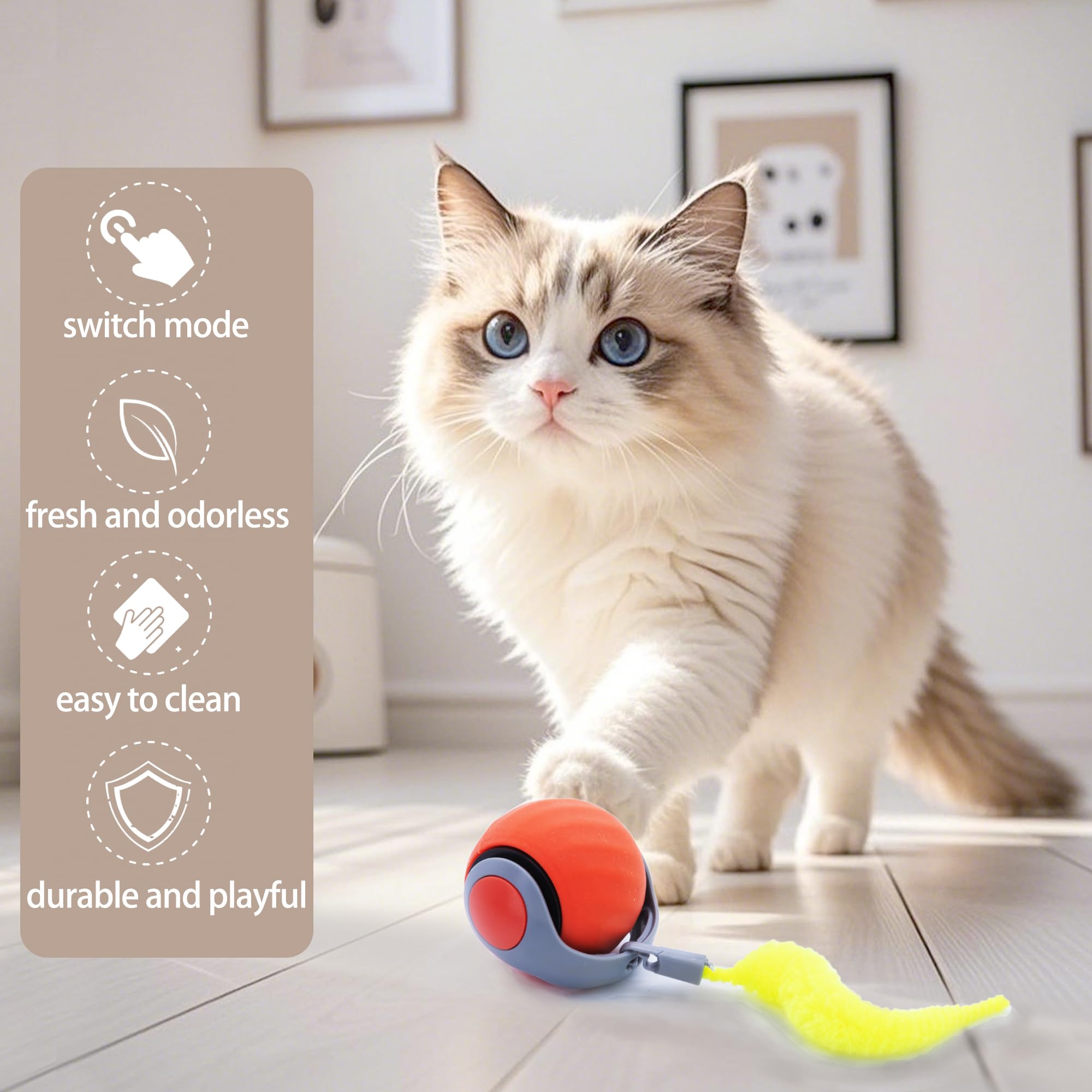 Kumcinm Interactive Cat Toys Ball For Indoor Cats, Interactive Rolling Small Dog Cat Toys Automatic Self Moving, 360,Electric Ba