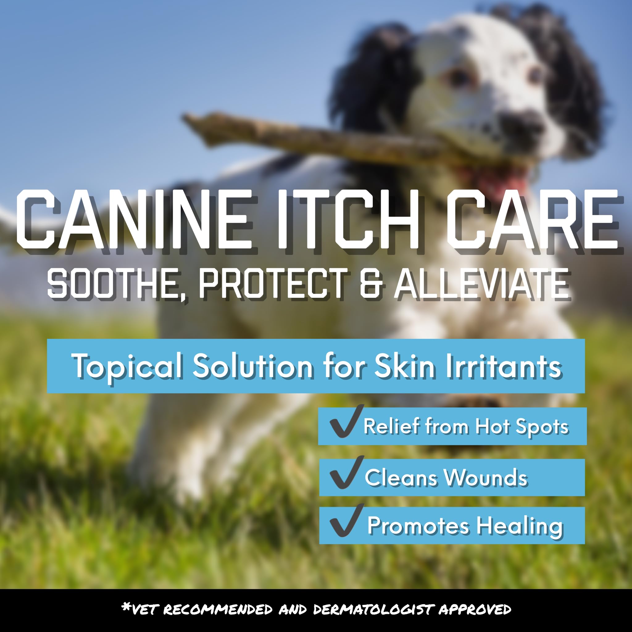 FlexTran Canine Itch Care Spray - Hot Spot & Itch Relief for Dogs & Cats, 32 oz, Clear, Model: canine2699