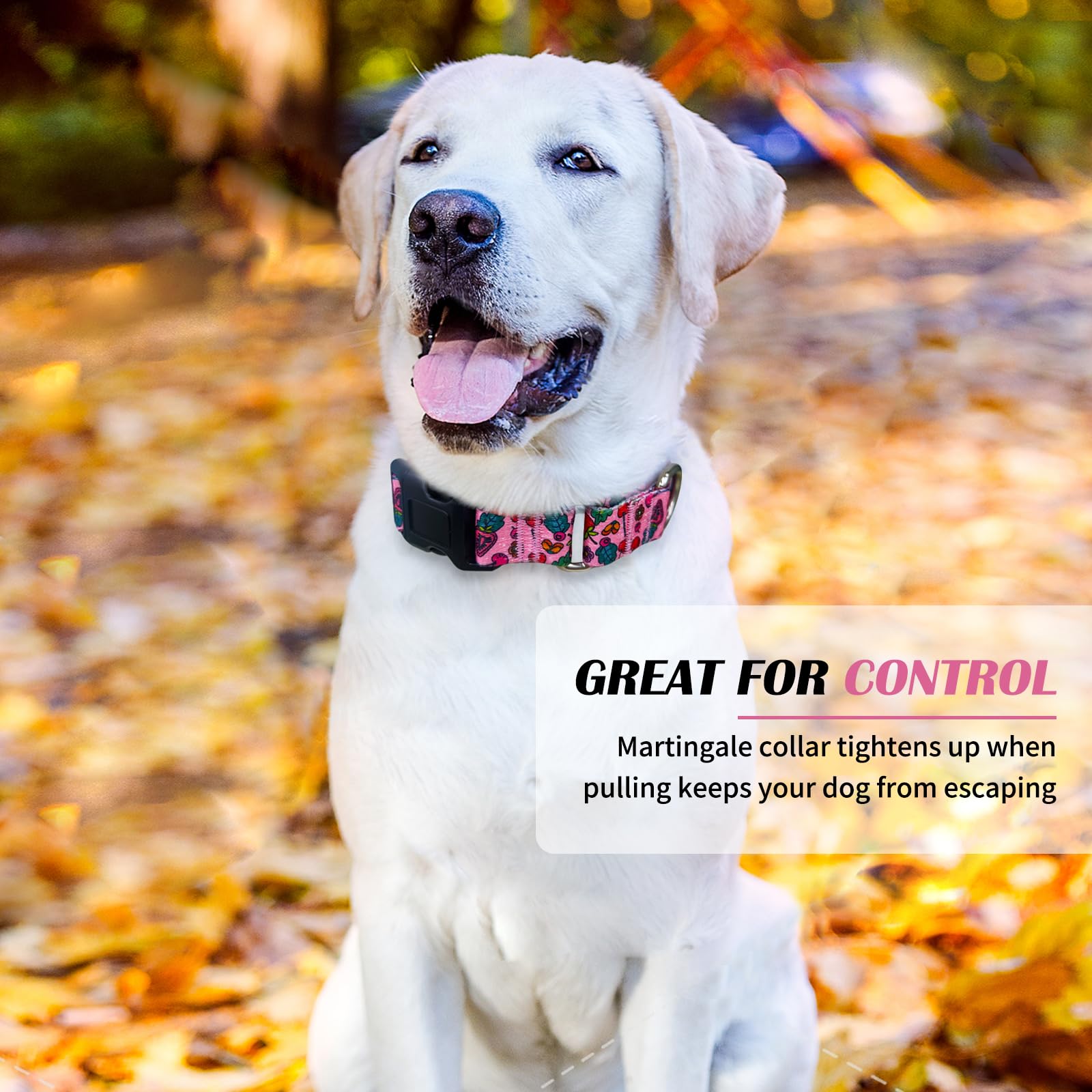 Hikiko Summer Dog Collar For Small Medium Large Dogs, Adjustable Nylon Fruit Pattern Martingale Collars With Quick Release Buckl