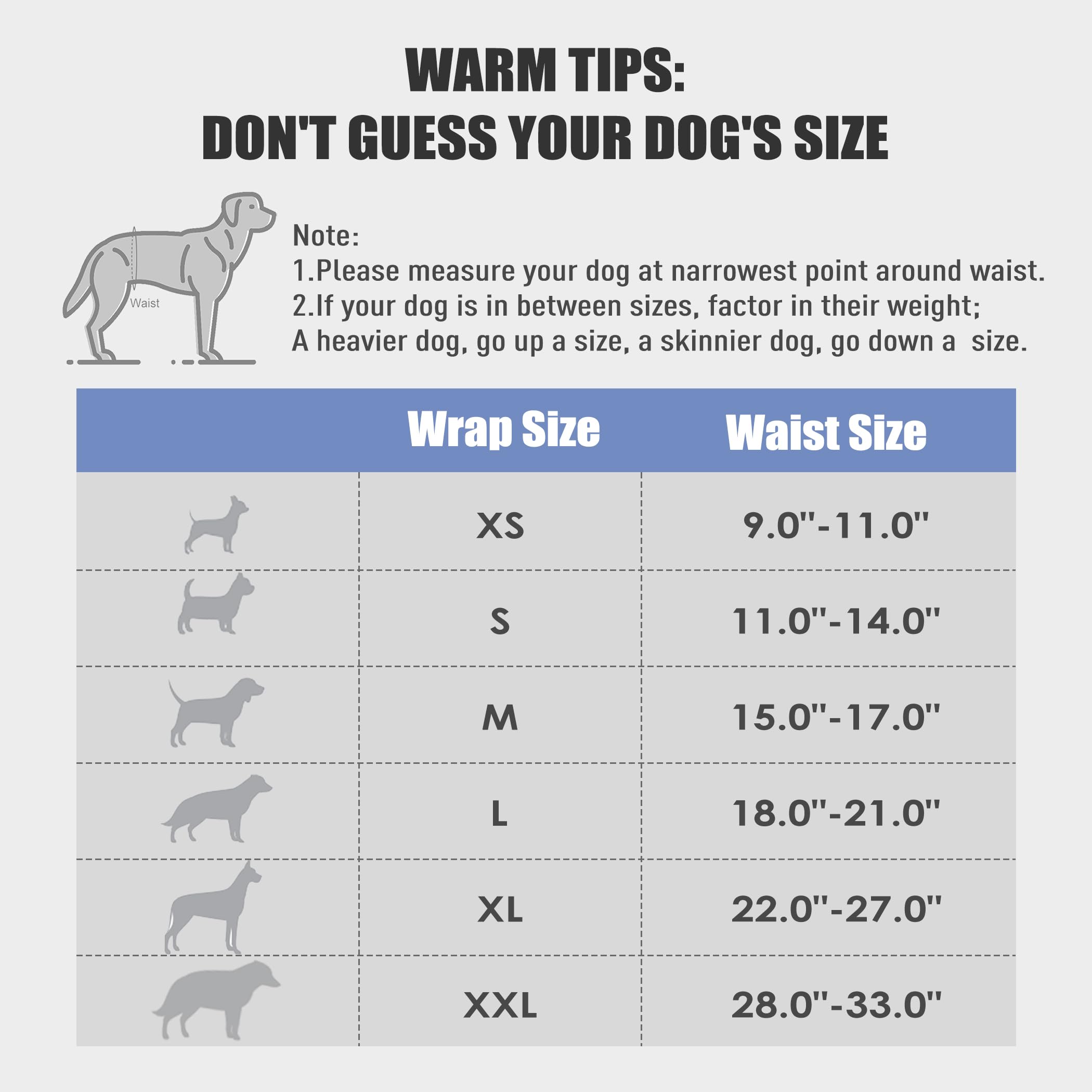 Wegreeco Washable Male Dog Belly Band (Stylish Pattern)- Pack Of 3 - Washable Male Dog Belly Wrap, Dog Diapers Male (Blue, Green, Charcoal, X-Small)