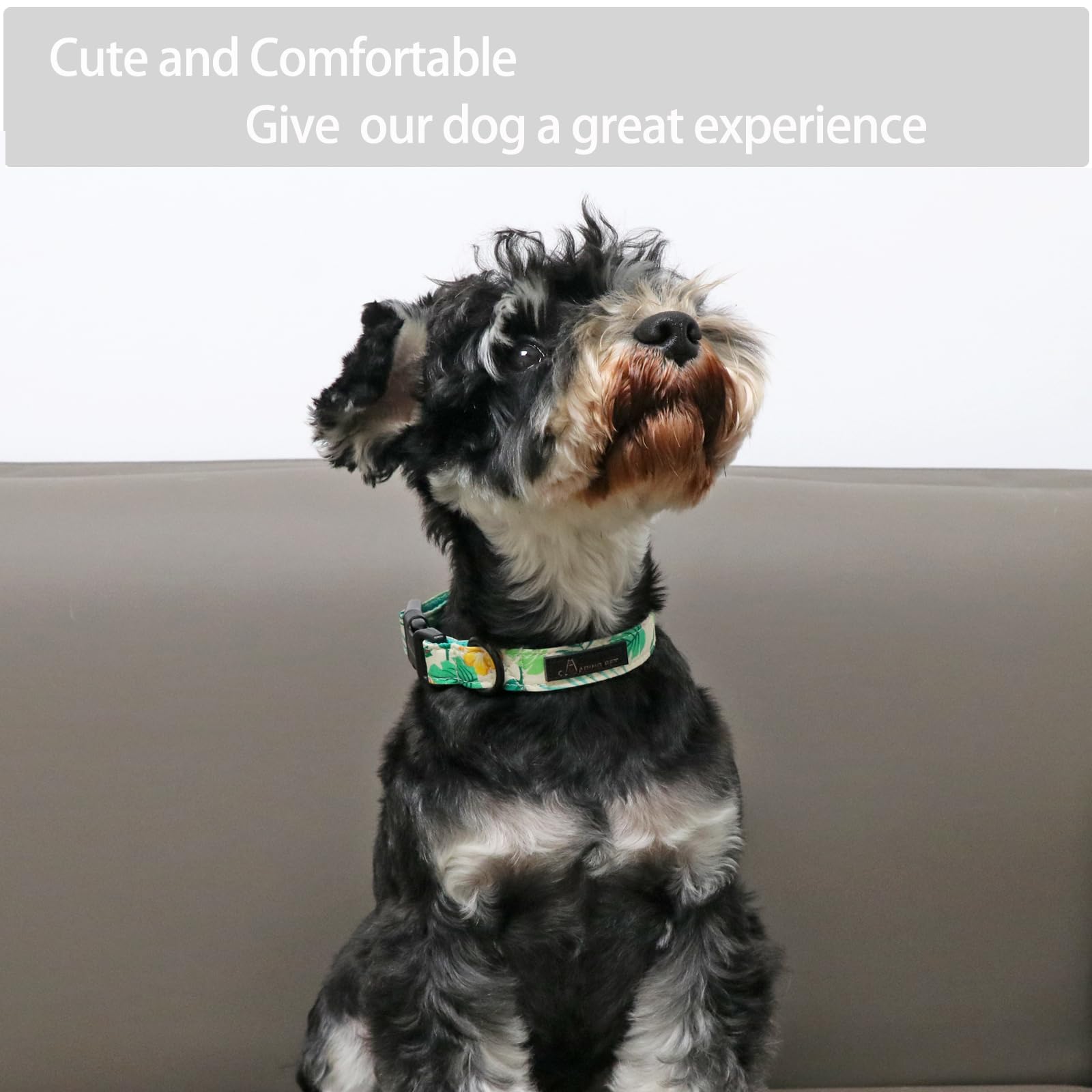 Aring Pet Summer Dog Collar-Lightweight Dog Collar For Small Dogs, Adjustable Comfortable Cotton Dog Collars For Small Medium Large Dogs, Small