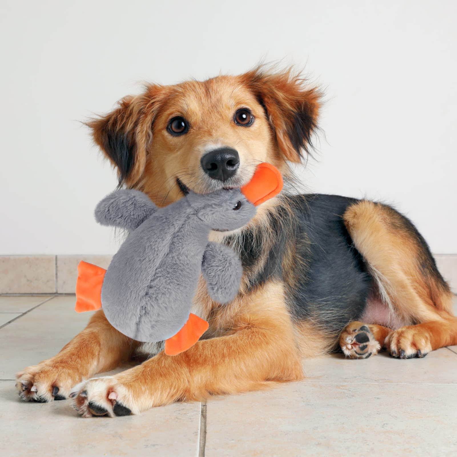 Expawlorer Plush Squeaky Duck Dog Toy - Soft Stuffed Cute Duck, Best Birthday Gift Interactive Filled Chew Toys For Small Medium Large Dogs Puppy Biting Training Teething, Grey